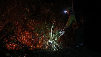 Foto de Bolivia emite alerta sanitaria por incendios