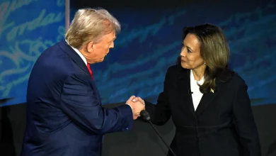 Foto de Esto es lo que prometen Kamala Harris y Donald Trump si ganan las elecciones