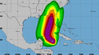 Foto de Tormenta Helene se organiza con vientos de 75 kilómetros por hora |  ACN