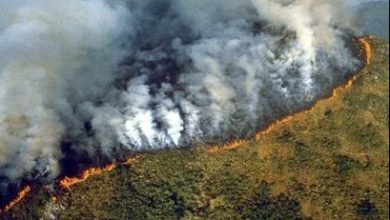 Foto de Perú declara estado emergencia en regiones afectadas por fuegos |  ACN