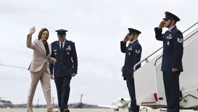 Foto de Trump y Harris reanudan campañas tras aparente 2do atentado contra el republicano