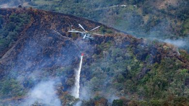 Foto de PERU: Incendios dejan 20 muertos y miles de hectáreas arrasadas |  ACN