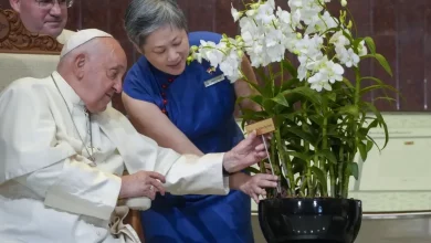 Foto de El papa se maravilla por los rascacielos de Singapur