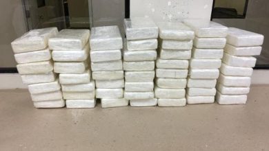 Foto de Incautan varios miles de kilos de cocaína en una pista de aterrizaje ilegal en Guyana San Juan