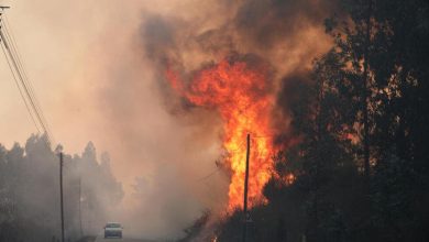 Foto de Los incendios arrasaron casi 95.000 hectáreas en Portugal