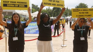 Foto de Los países ricos no cumplen con los pagos para COP16