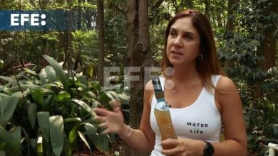 Foto de Un filtro que transforma el agua marrón de ríos amazónicos