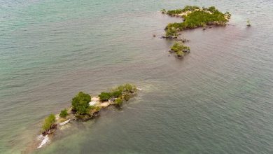 Foto de Varias islas del Caribe desaparecerán si sigue subiendo el nivel del mar, advierte la OEA