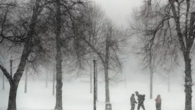 Foto de La Niña podría llegar pronto. ¿Qué significa esto para el clima?