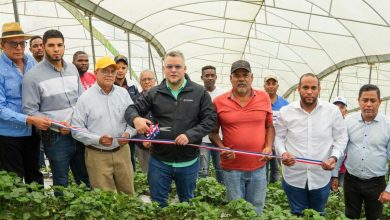 Foto de Financian proyecto por 9.8 millones de pesos a Asociación de Productores de Fresas de Jarabacoa – ACN (República Dominicana)