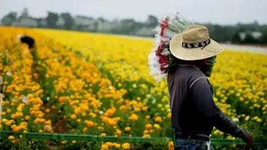 Foto de Cómo sería EE.UU. sin inmigrantes