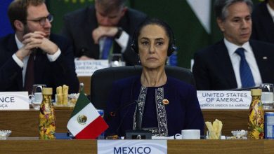 Foto de Sheinbaum propone fondo para reforestación y la paz en G20