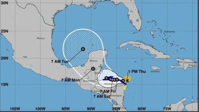 Foto de Tormenta tropical Sara se forma cerca del sureste de México