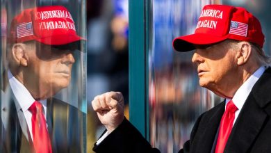 Foto de La ultraderecha europea celebra la victoria electoral de Trump |  ACN