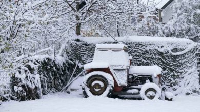 Foto de Nieve, frío polar y fuertes vientos ponen en alerta a Europa