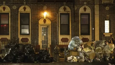 Foto de Las ratas se dan un festín con la basura en Nueva York