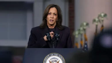 Foto de Por qué perdió Kamala Harris las elecciones de EE.UU