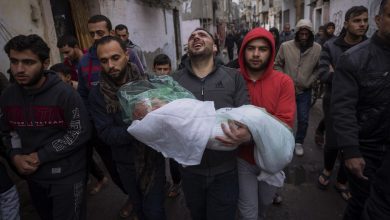 Foto de Amnistía Internacional acusa a Israel de genocidio en Gaza | ACN