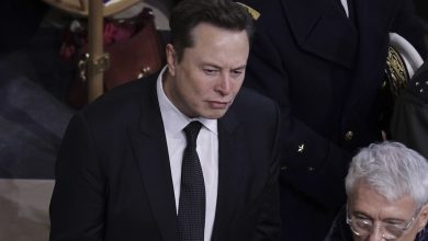 Foto de La telaraña del imperio económico del 'technoking' Elon Musk