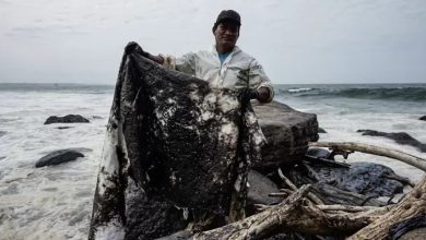 Foto de PERU: Emergencia ambiental por un derrame de crudo en el mar |  ACN