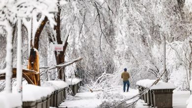Foto de Noreste de EEUU está bajo aviso de fuertes nevadas y frío ártico |  ACN