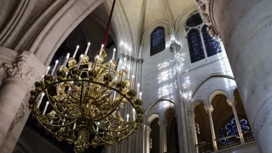 Foto de La reapertura de Notre Dame este fin de semana