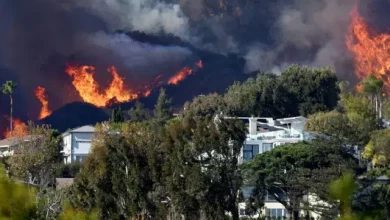 Foto de António Guterres, “conmocionado” por los incendios de Los Ángeles