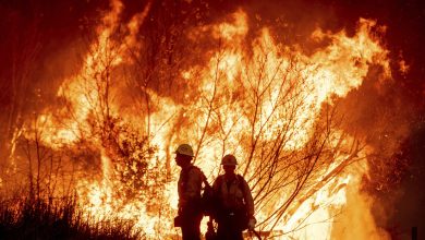 Foto de Biden: Incendio de California es el más devastador de la historia |  ACN