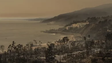 Foto de Al menos 24 personas han muerto por los incendios de Los Ángeles