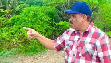 Foto de PLD resta credibilidad informe sobre daños tormenta Melissa |  ACN