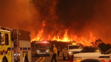 Foto de EEUU: Ascienden a 10 muertos por incendios forestales en LA |  ACN