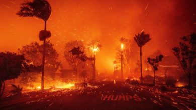 Foto de EEUu: Miles personas evacuadas por incendio forestal California |  ACN