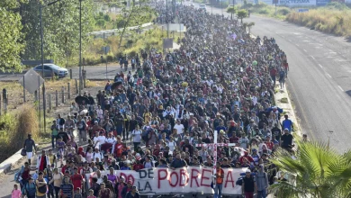 Foto de Migrantes continúan su avance hacia la frontera pese a mayor vigilancia y llegada de Trump