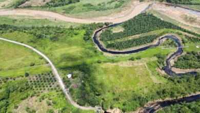 Foto de Ecuador declara la emergencia medioambiental por la rotura de un oleoducto en el norte del país |  ACN