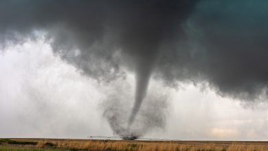 Foto de EEUU: Serie de tornados deja 20 muertos en el sur y medio oeste |  ACN