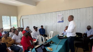 Foto de Ministerio de Agricultura proyecta cosecha de 500 mil quintales de papa entre noviembre y enero – ACN (República Dominicana)