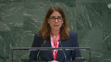 Foto de RD elegida miembro de la Comisión de Administración Pública de la ONU – ACN (República Dominicana)