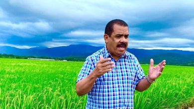 Foto de PLD dice costo cena navideña supera los 16,800 pesos en RD | ACN