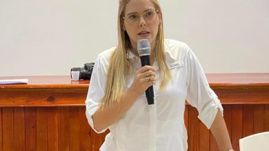 Foto de Diputada ve propuesta cesantía no busca eliminar derechos |  ACN