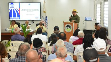 Foto de FEDA presenta resultados de programa de relanzamiento del coco con inversión de RD$75 millones – ACN (República Dominicana)