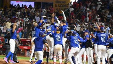 Foto de Futuro de Tigres del Licey no depende de él por completo