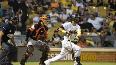 Foto de Béisbol dominicano se reanuda este viernes con dura lucha