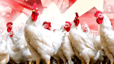 Foto de hasta RD$100 la libra – ACN (República Dominicana)