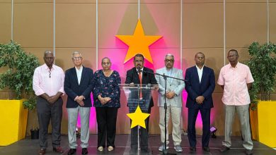 Foto de PLD denuncia cena navideña 2025 alcanza costo récord de RD$16,825.14 – ACN (República Dominicana)