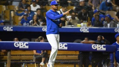 Foto de Tigres del Licey confía en mutual Gibert Gómez y Wllington Cepeda