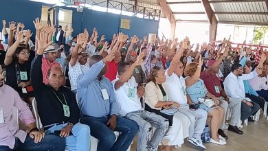 Foto de Fuerza del Pueblo elige su dirección ejecutiva en SDN |  ACN