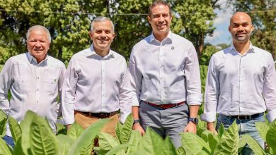 Foto de El tabaco aumentó sus exportaciones a RD$1,183 millones en 2025 – ACN (República Dominicana)