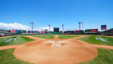 Foto de Ponen a la venta entradas para entrenamientos de selección dominicana de béisbol