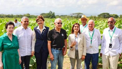 Foto de Industria del tabaco genera US$1,356 MM anuales en exportaciones, según Gobierno – ACN (República Dominicana)