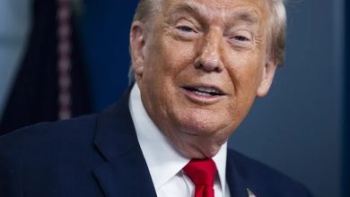 Foto de Trump confía en que el estrecho de Ormuz volverá a ser seguro en poco tiempo – ACN (República Dominicana)